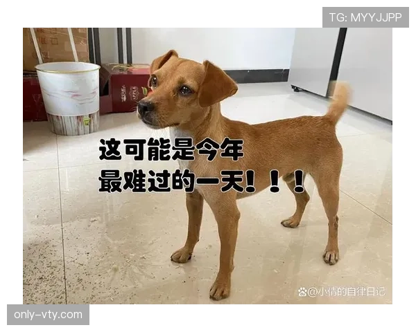 蒋圣龙家的狗都比你自律
